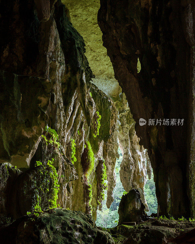 Niah国家公园的洞穴