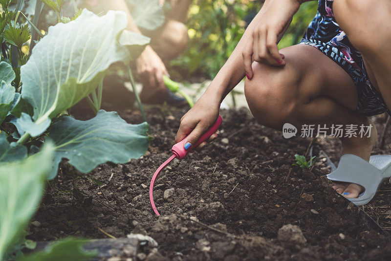 年轻一代照顾我们的地球