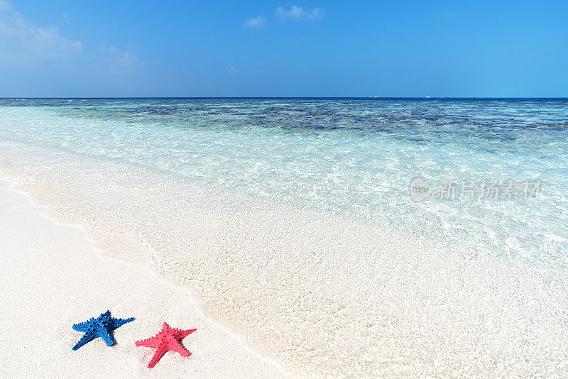 阳光沙滩上的海星
