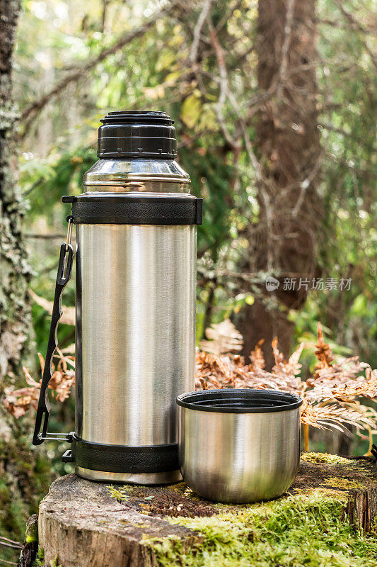 钢热水瓶与一杯热tee站在老树桩在针叶林，露营抽象的背景