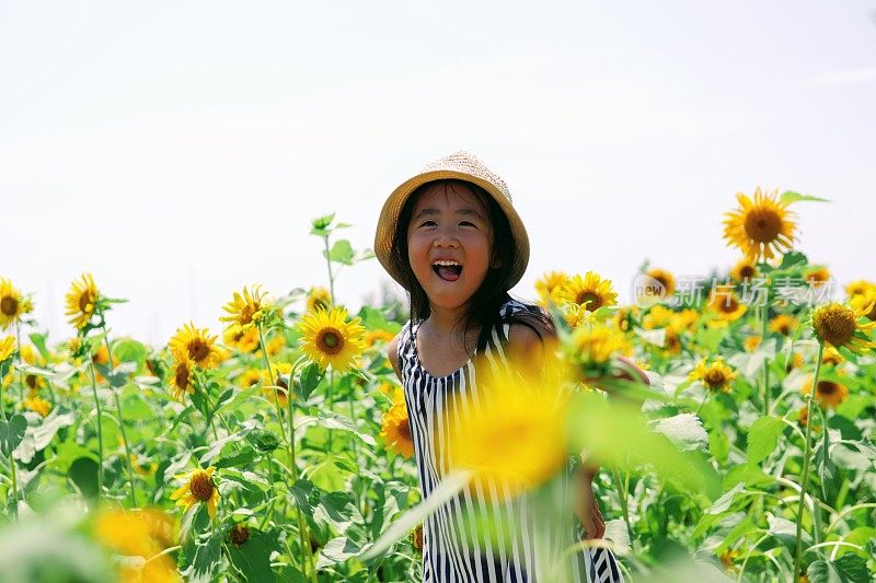 女孩在向日葵花园里微笑