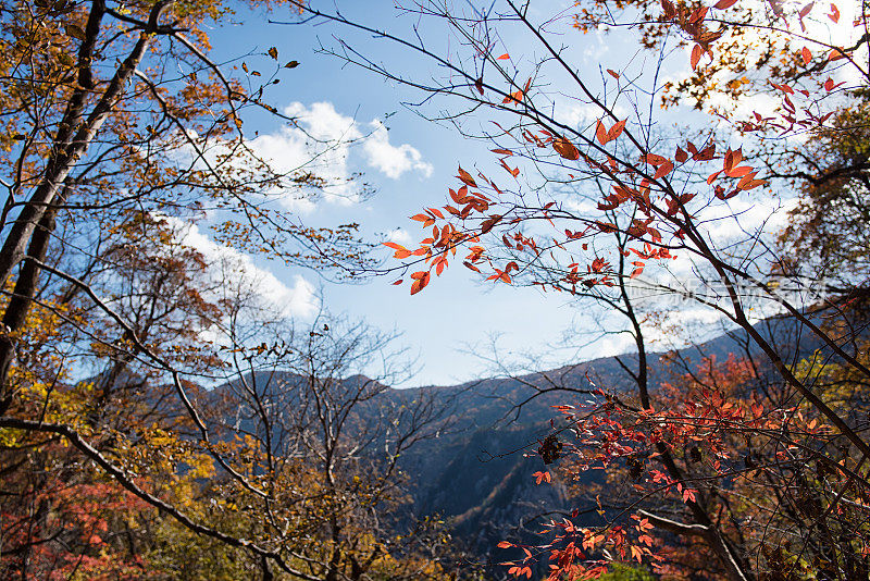 秋天的山