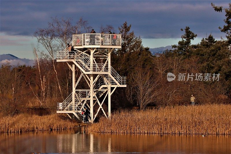 2019年12月，加拿大乔治c赖费尔鸟类保护区的观鸟塔上的人们