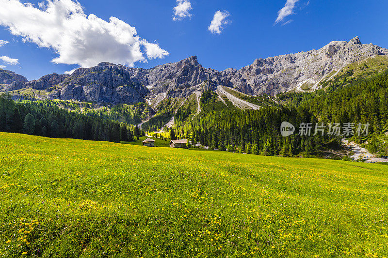 谷仓在田园诗般的阿尔卑斯风景-瓦尔迪富内斯，白云石阿尔卑斯-意大利