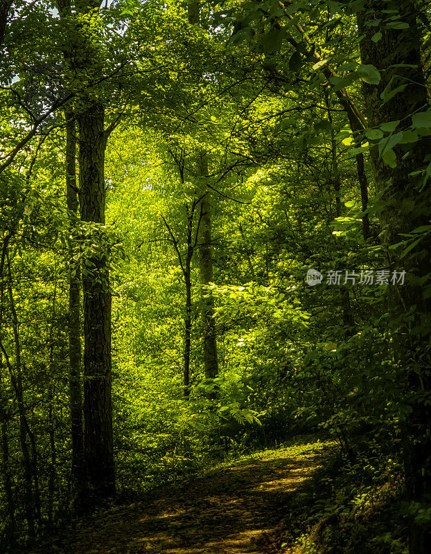 夏日的阿巴拉契亚山脉徒步旅行路线