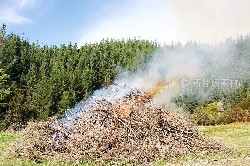 乡村场景中火被控制燃烧