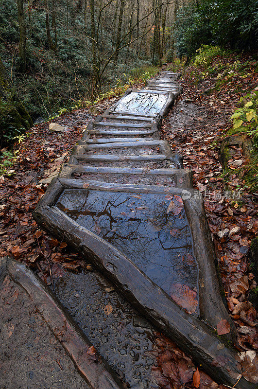 美国田纳西州大烟山国家公园的小径