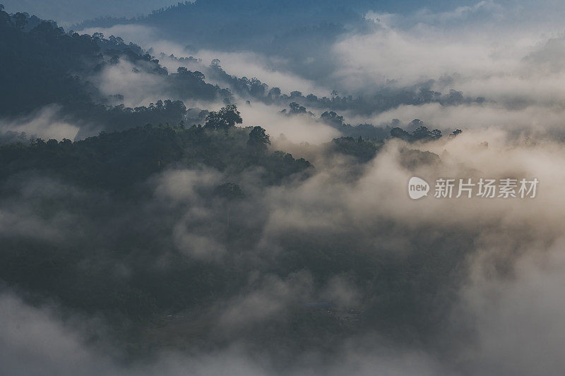 彭亨州卡梅伦高地的日出云海景观森林山清晨