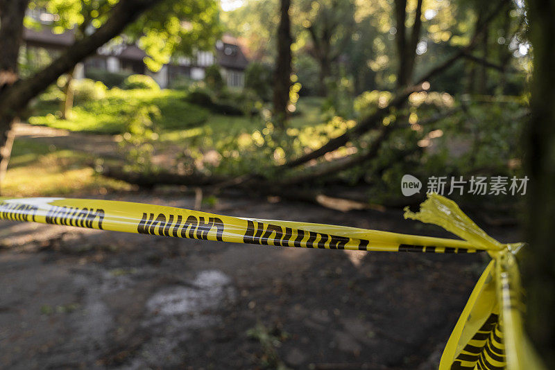 警察设置的路障标志着这条路在郊区因为危险的大风而被封闭。一场风暴过后，一棵倒下的树挡住了新泽西州一个小镇的街道。