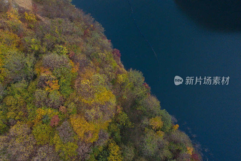 头顶五彩缤纷的混合秋林