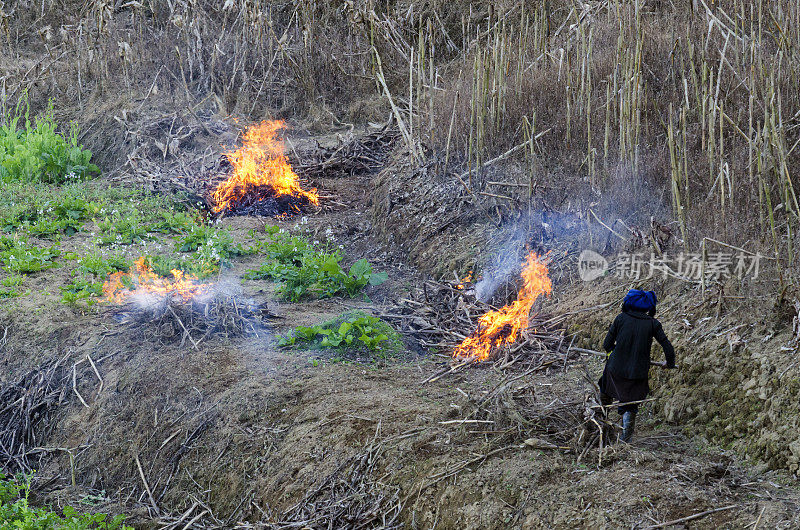 中国农民在多义树村焚烧庄稼
