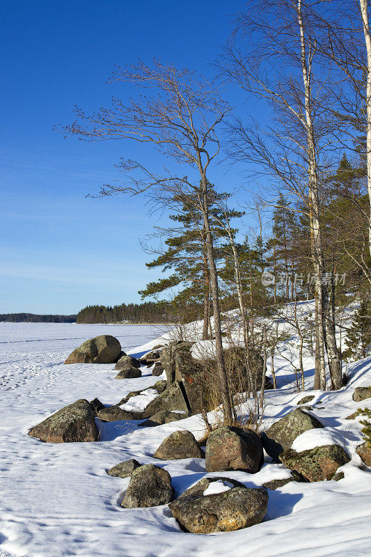 阳光明媚的Saimaa湖，芬兰拉彭兰塔的早春美景