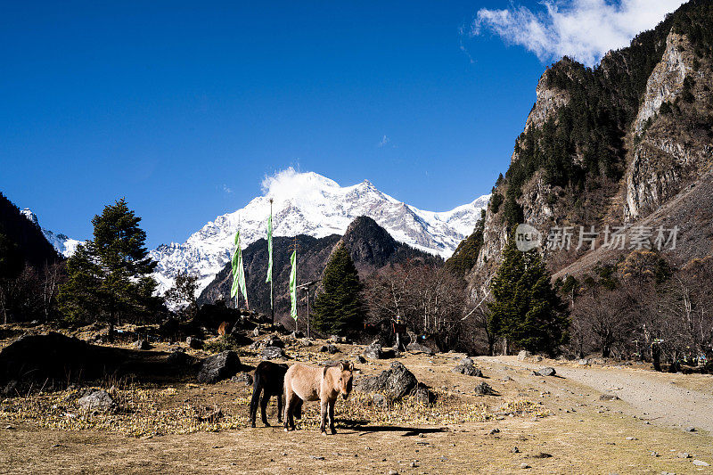 日出时的美丽雪山