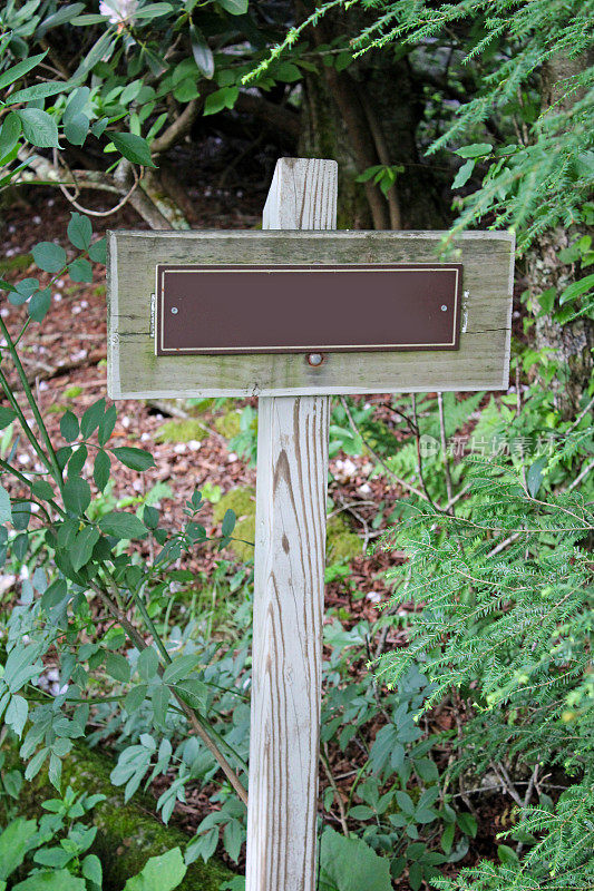木制标志在树林里-标志是空的，所以你可以在上面写字