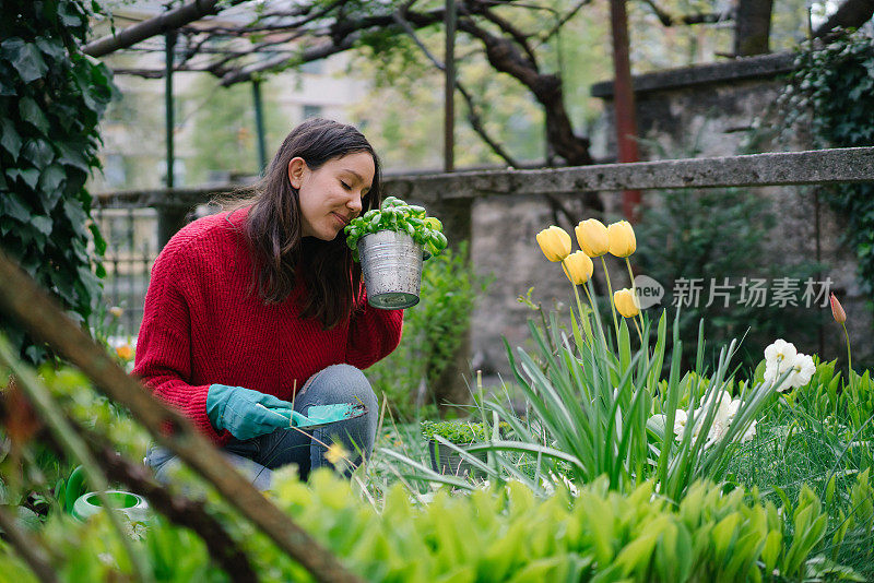 年轻女子在自家后院打理花园