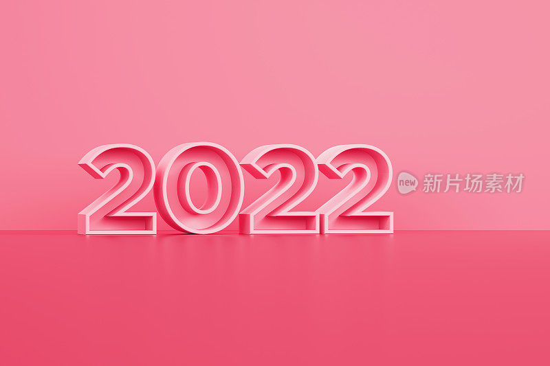 粉红2022坐在粉红背景前