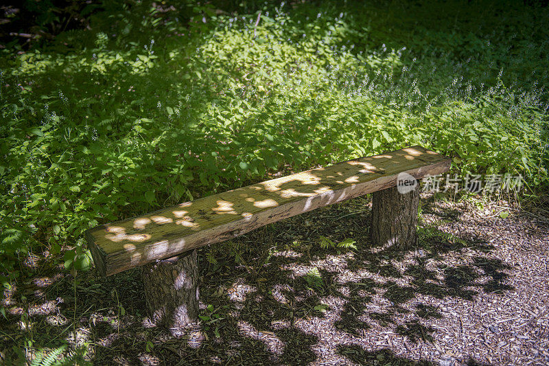 在苏格兰斯凯岛的Dunvegan附近一片茂密的林间空地上，用树桩和圆木手工制作的木凳。