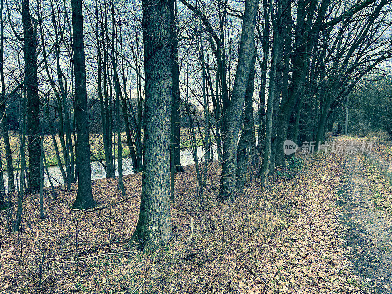 在冬天，一条河流穿过一些树木，靠近一条小路。