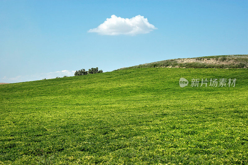 阳光明媚的蓝天上一片空旷的绿色景观