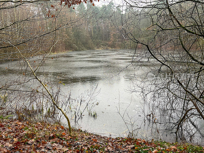 冬季森林中微微结冰的湖面。