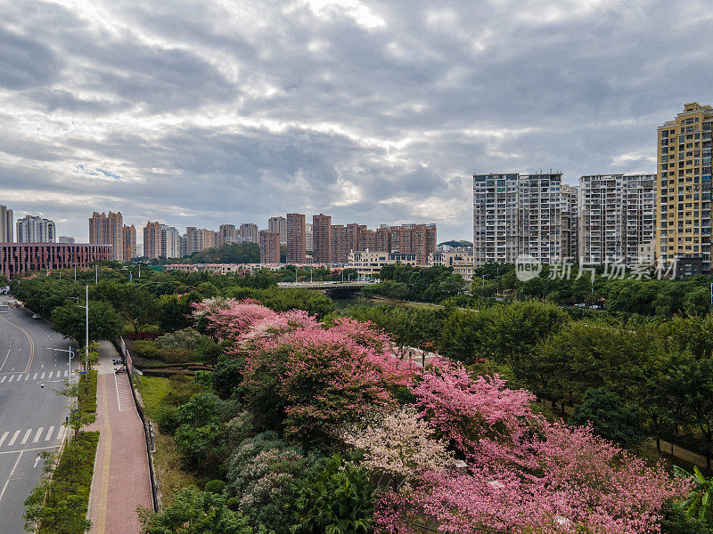 花园城住宅大厦鸟瞰图