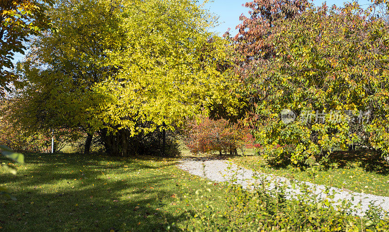 秋天的本性。晴朗秋日的城市公园和芬兰城市拉赫蒂的步行小径。
