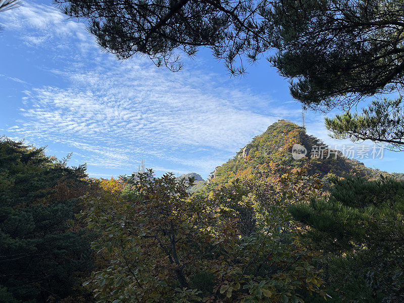 首尔的秋山