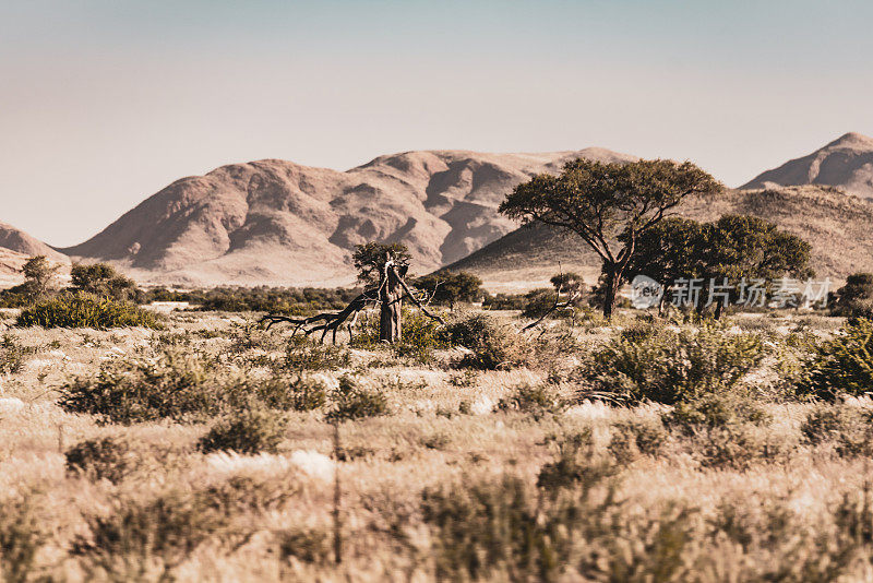 在非洲纳米比亚的自助狩猎之旅中驾车穿越美丽的风景