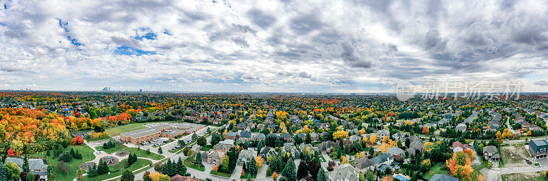 多色树叶在邻近公园韦斯顿路和麦肯齐博士，伍德布里奇，加拿大