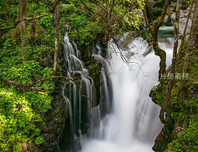 长时间暴露法师瀑布和瀑布在郁郁葱葱的绿色森林。索卡河，斯洛文尼亚。