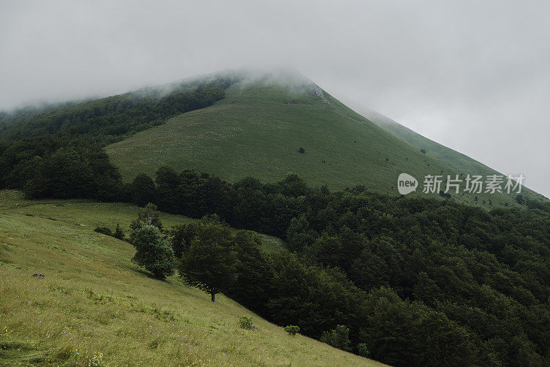 欧洲最古老的自然保护区，Biogradska国家公园雾蒙蒙的山顶(1878年)