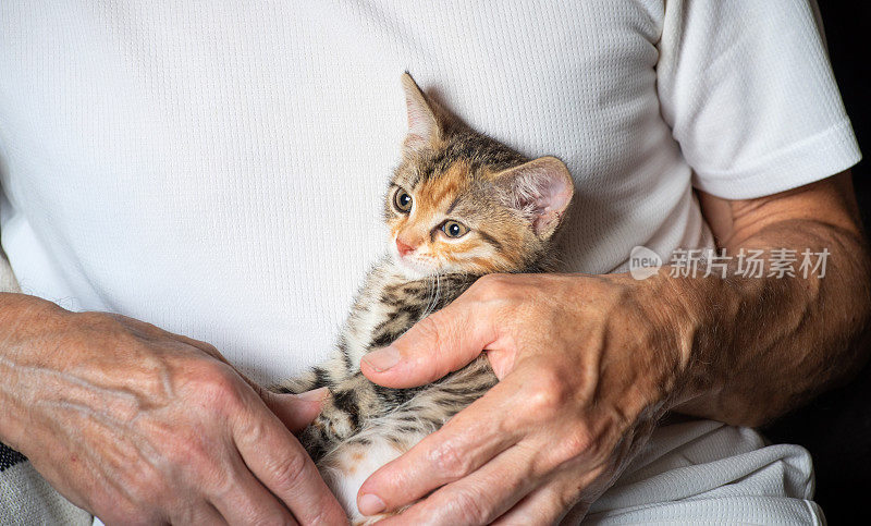 一个男人和一只小猫。和小猫在一起的闲暇时光