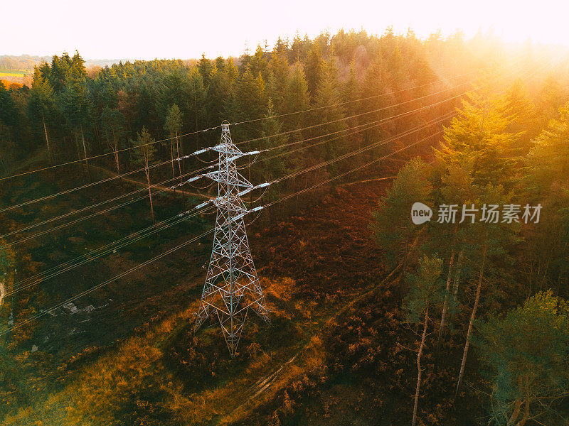 森林景观中的电塔鸟瞰图