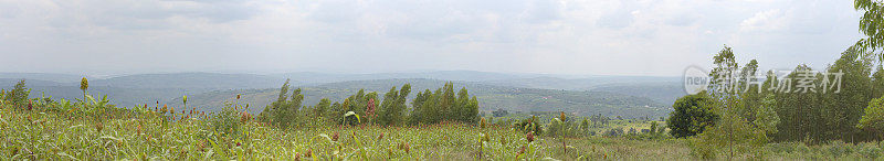 卢旺达东部靠近基邦戈的全景图