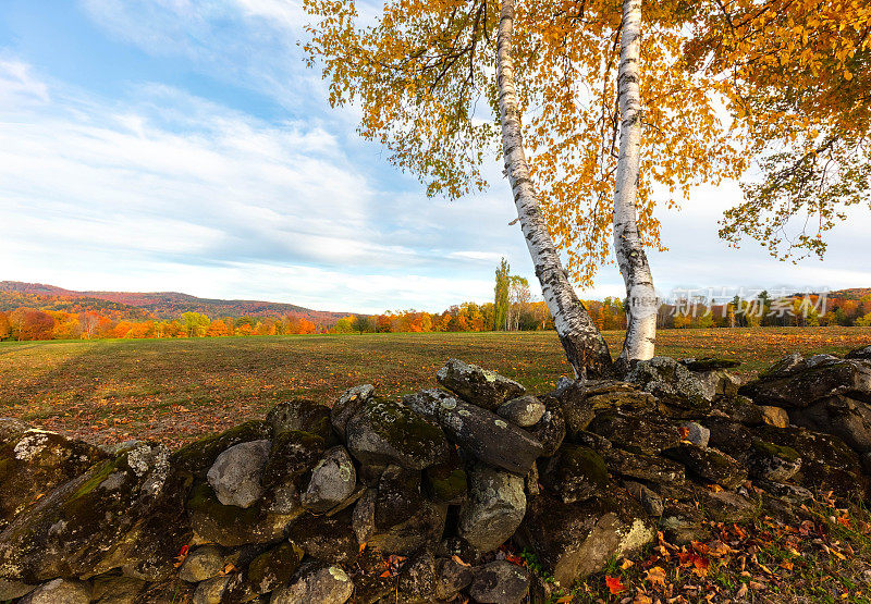 佛蒙特州的新英格兰草地，周围有石墙和五彩秋树