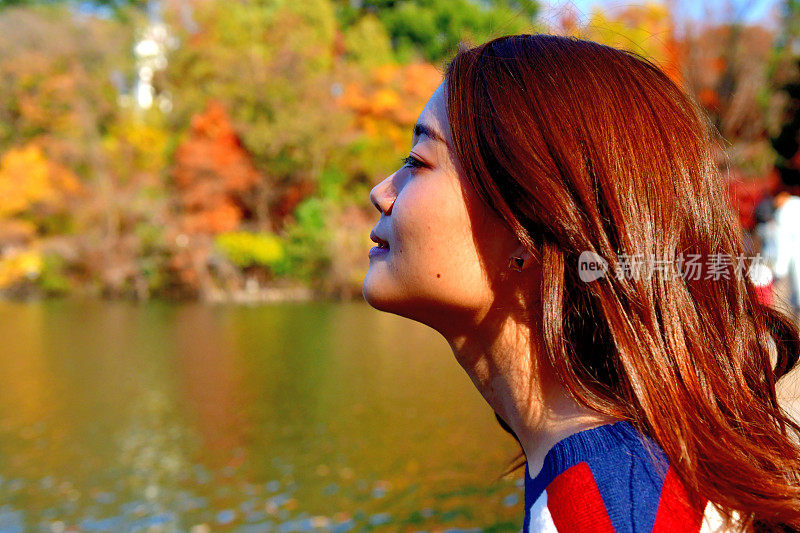 年轻的日本女子站在桥上，对着美丽的秋叶，在井岛公园，东京