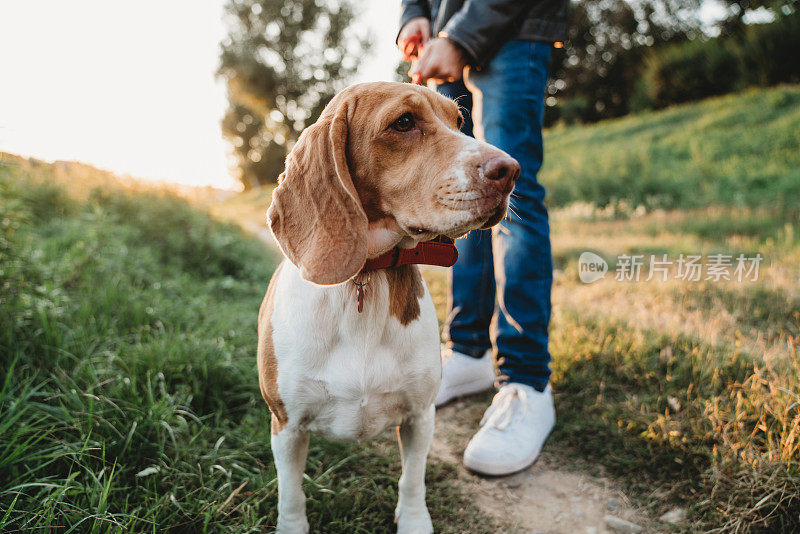 小猎犬和它的主人的肖像