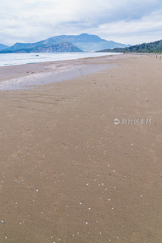 伊豆祖海滩和大延河三角洲