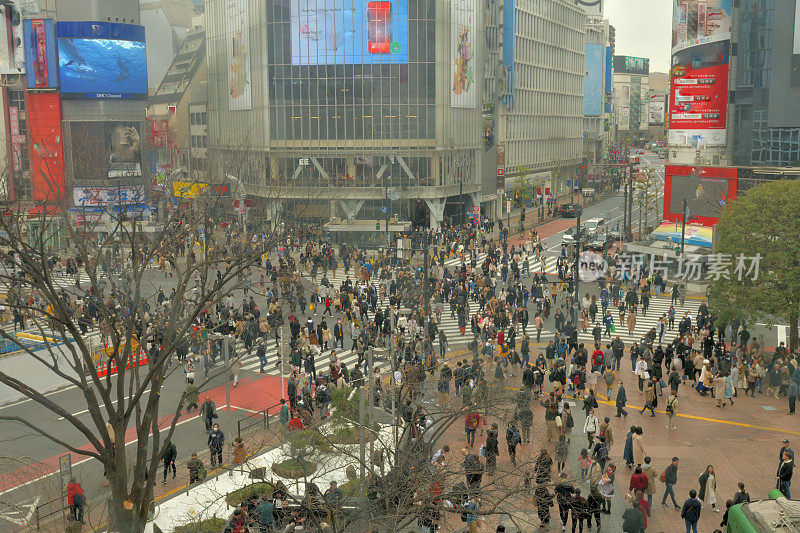 东京涩谷紧急交叉路口