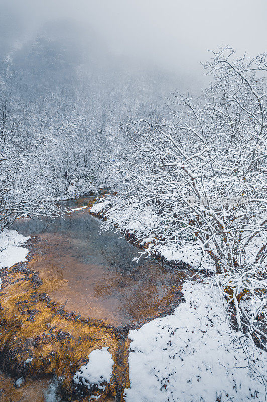 美丽的自然景观黄龙和九寨沟国家公园与惊人的雪在中国四川