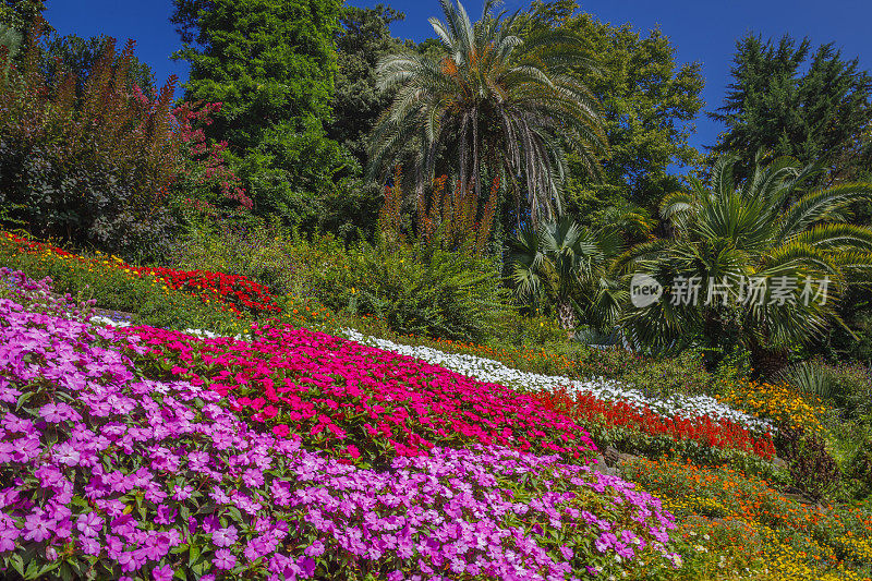 五彩缤纷的花园，田园般的科莫湖，放松风景，意大利