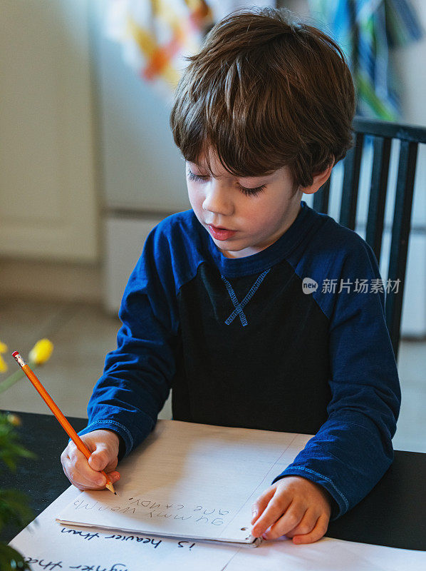 小学在家上学的男孩