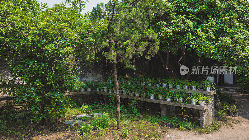 中国绍兴鲁迅古里风景区的绿色花园