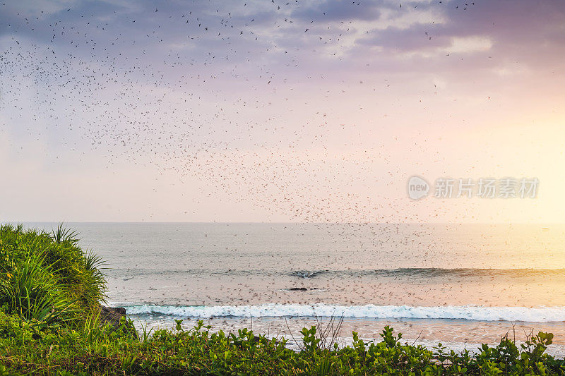 美丽的风景日落热带海滩海在印度尼西亚巴厘岛