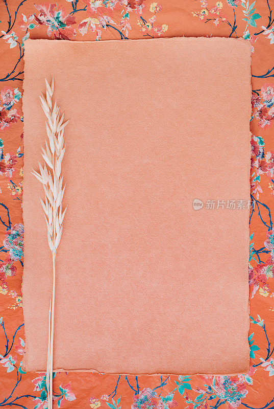 空的鲑鱼色手工纸空白与一个干谷物植物手工纸在波希米亚外观