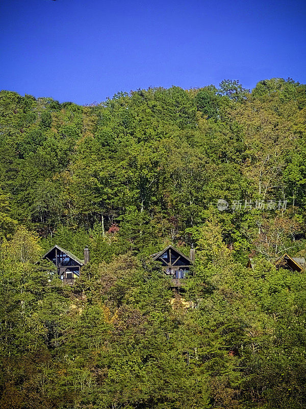 田纳西州鸽子福吉秋叶中的小屋