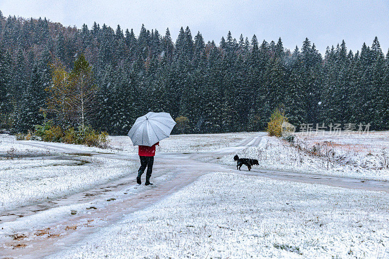 老人和黑狗在阿尔卑斯山的森林里享受降雪