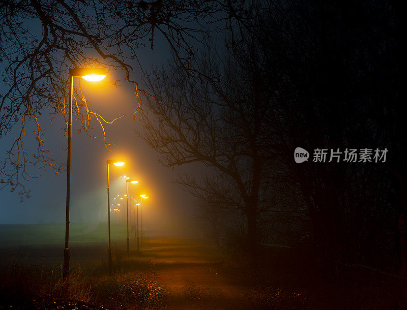 在雾蒙蒙的秋天傍晚，灯柱和光秃秃的树木