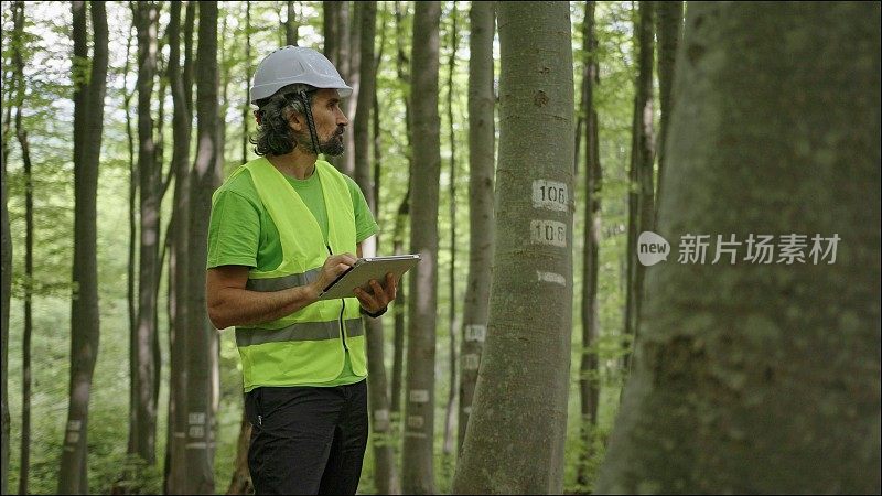 生态学家在野外工作。林务员检查森林中树木的自然状况，并采集样本进行深入研究。生态系统的保护和可持续性。