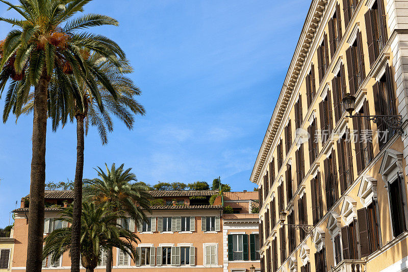 意大利罗马西班牙广场上的联排别墅和棕榈树